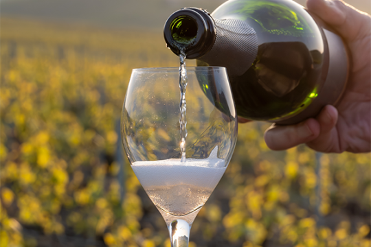 Service d'un vin effervescent dans un verre
