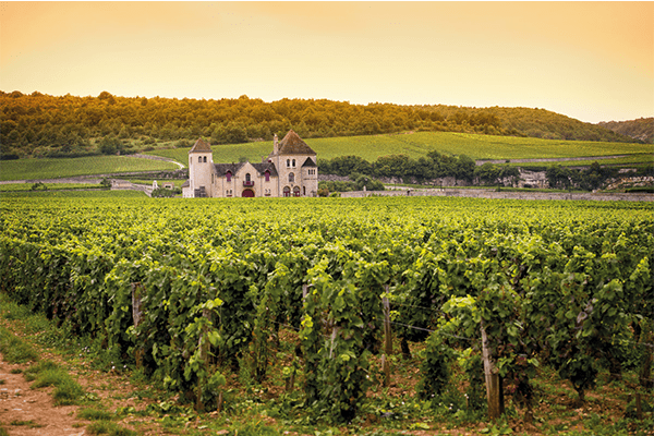 Vignoble Bourgogne