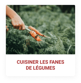 Cuisiner les fanes de légumes