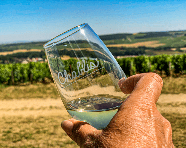 Illustration de l'article « Le vignoble de Chablis, berceau du Chardonnay »