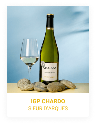 IGP Chardo - Sieur d'Arques