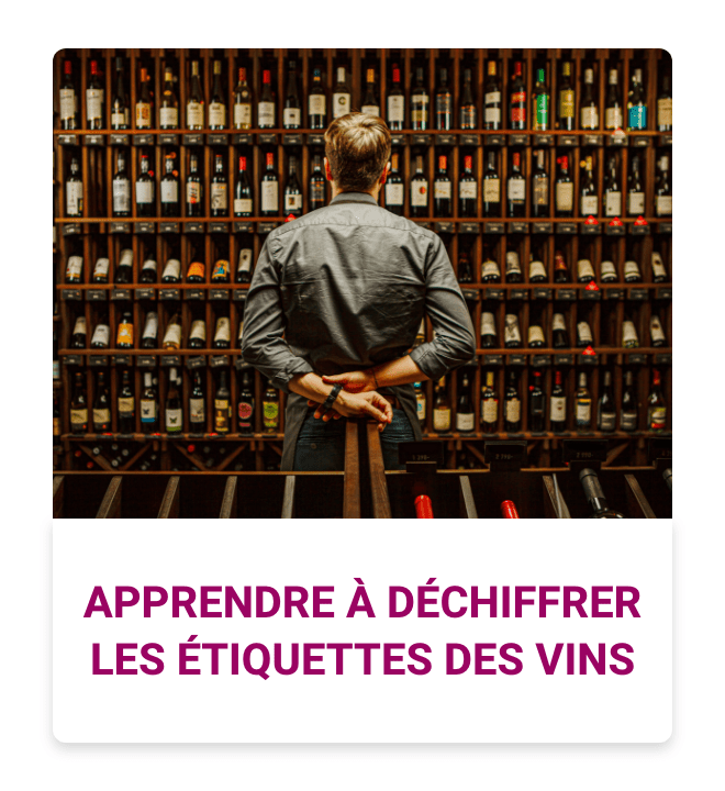 Comment déchiffrer les étiquettes des bouteilles de vins ?