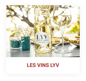 vins LYV