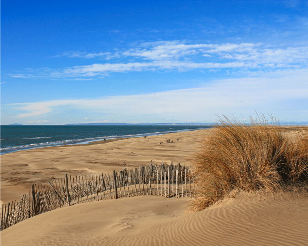 Illustration de l'article « L’histoire des vins Sable de Camargue »