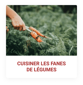 Cuisiner les fanes de légumes