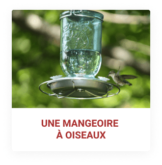 DIY : mangeoire à oiseaux