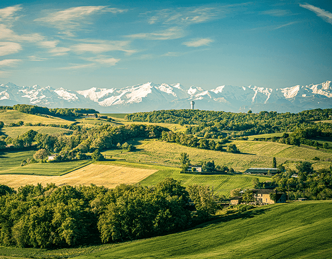 Illustration de l'article « L’Appellation Côtes de Gascogne »