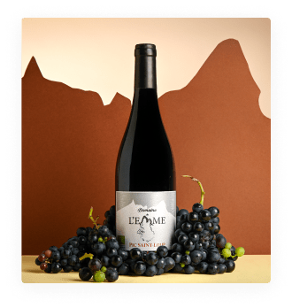 AOP Pic Saint-Loup 