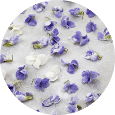 Cuisiner la violette