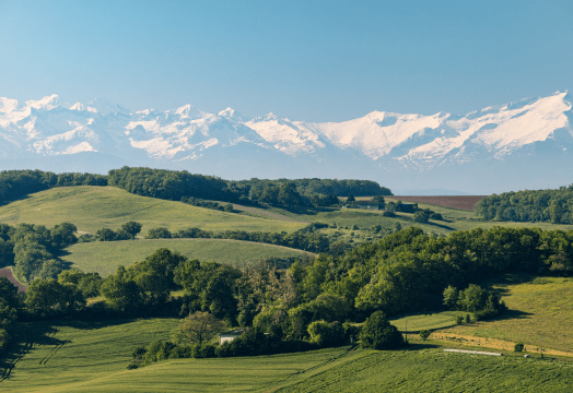 Illustration de l'article « Vacances prolongées en Gascogne »