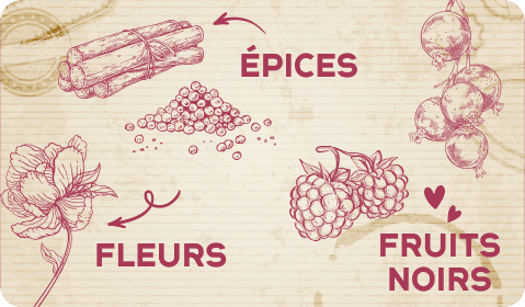 Les arômes des vins de Fronton