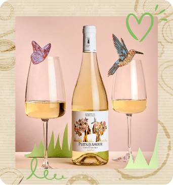 IGP Côtes de Gascogne Vintus Puits d'amour