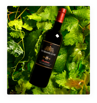AOC Bordeaux Dourthe La Grande Cuvée