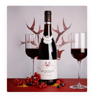 Vin de France Reine Pedauque