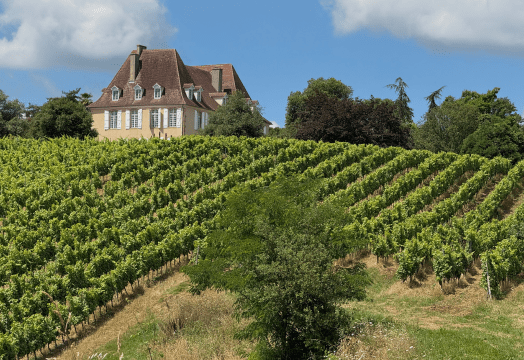 Illustration de l'article « Sur la route des vins de Madiran »