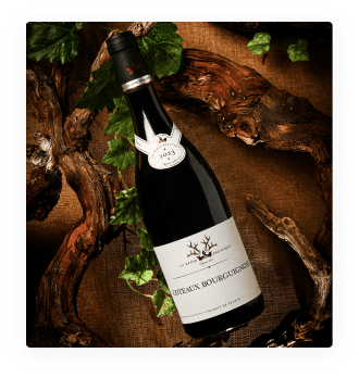 AOP Coteaux Bourguignons Reine Pedauque