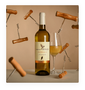 IGP Côtes de Gascogne