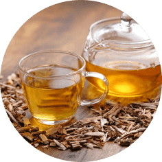 Infusion d'aubier de tilleul