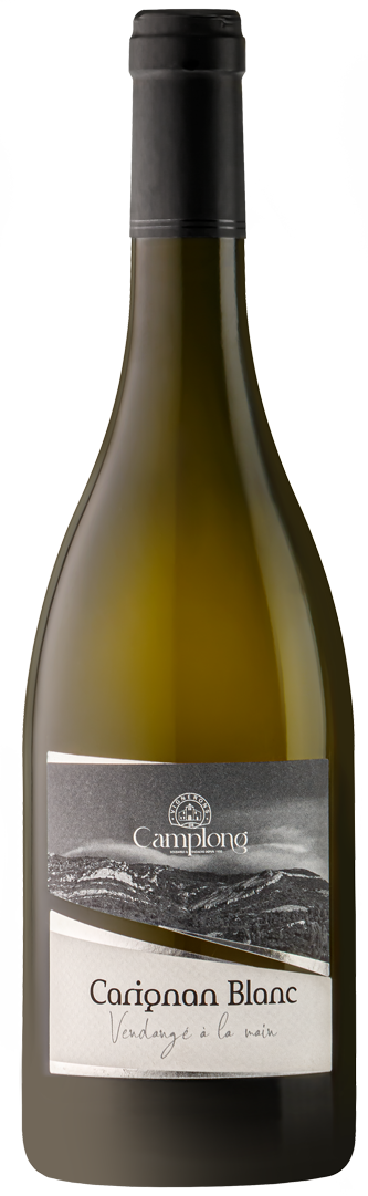 Bouteille de Vin de France Vin Blanc sec Carignan Blanc
