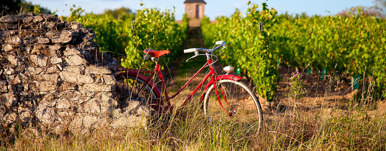 Illustration de l'article « Tourisme dans les vignes ou… œnotourisme ! »