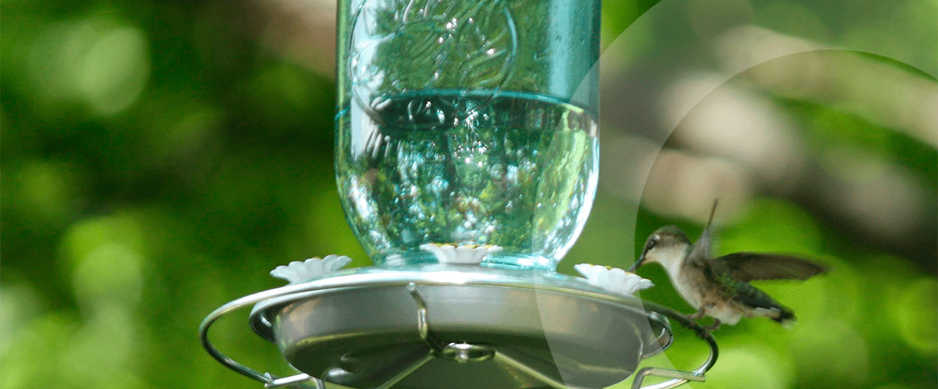 Illustration de l'astuce « Recyclez vos bouteilles en verre en mangeoire à oiseaux » (visuel 1)