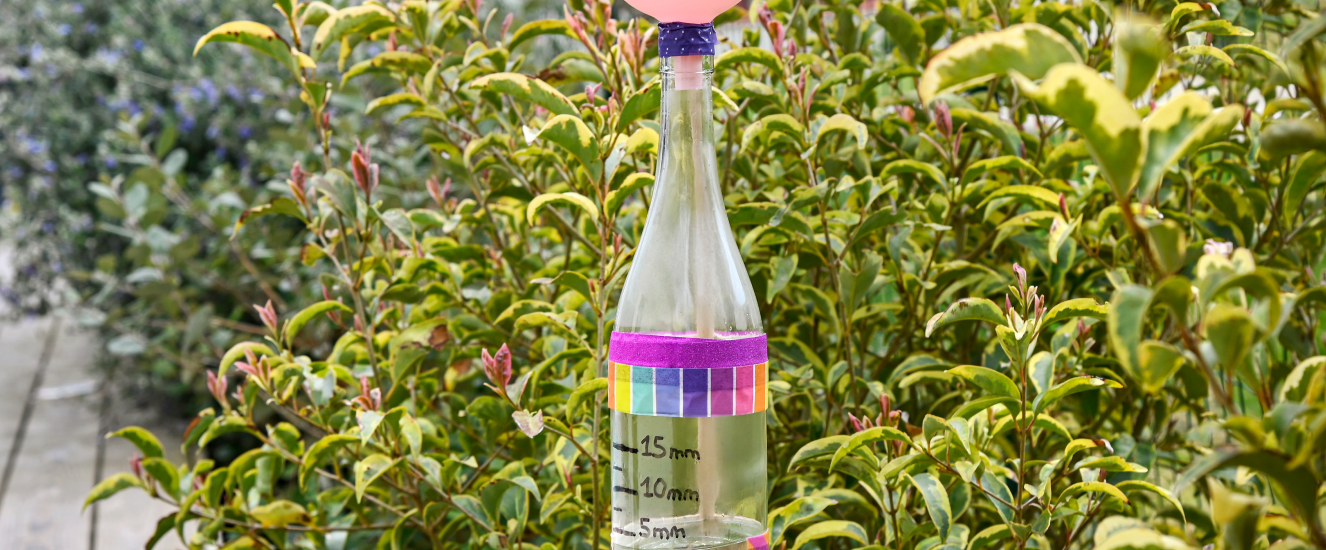 Illustration de l'astuce « DIY : pluviomètre de vigne »