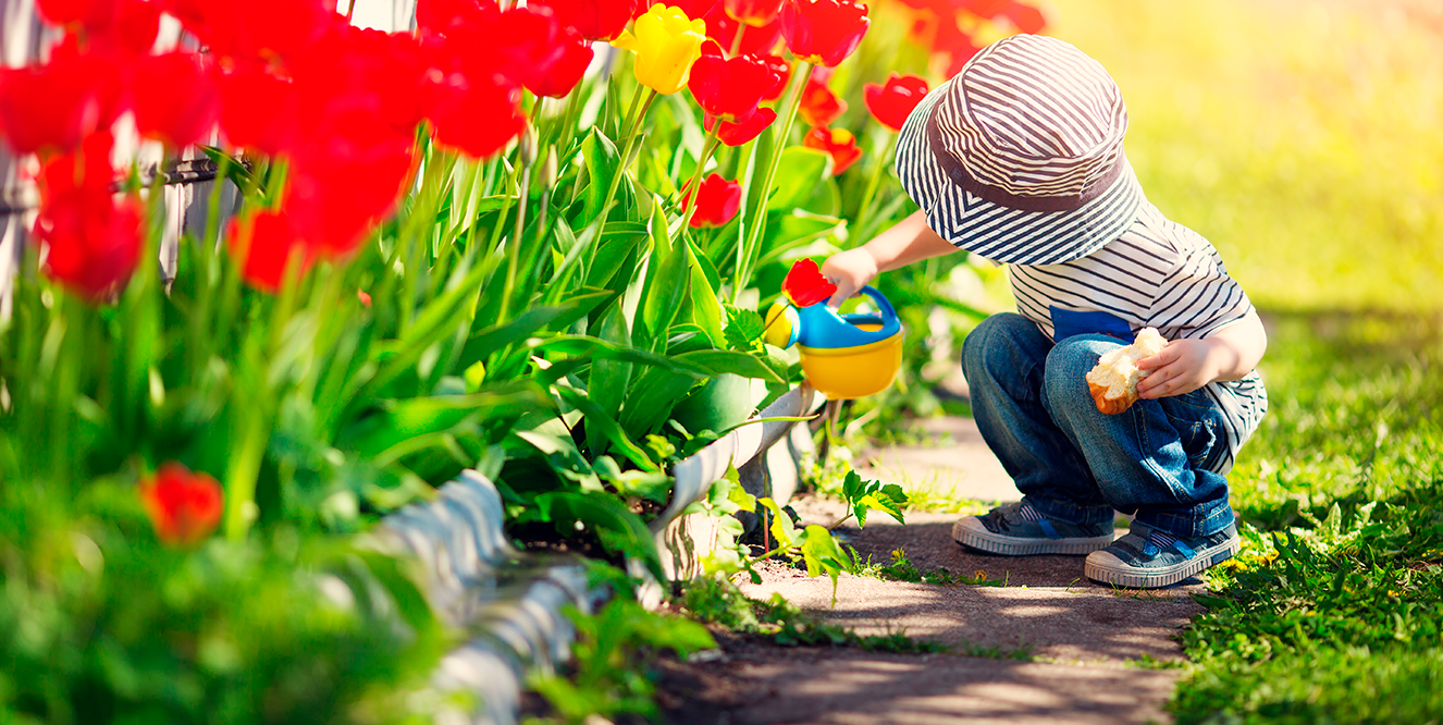 Illustration de l'astuce « Que planter au printemps ? »