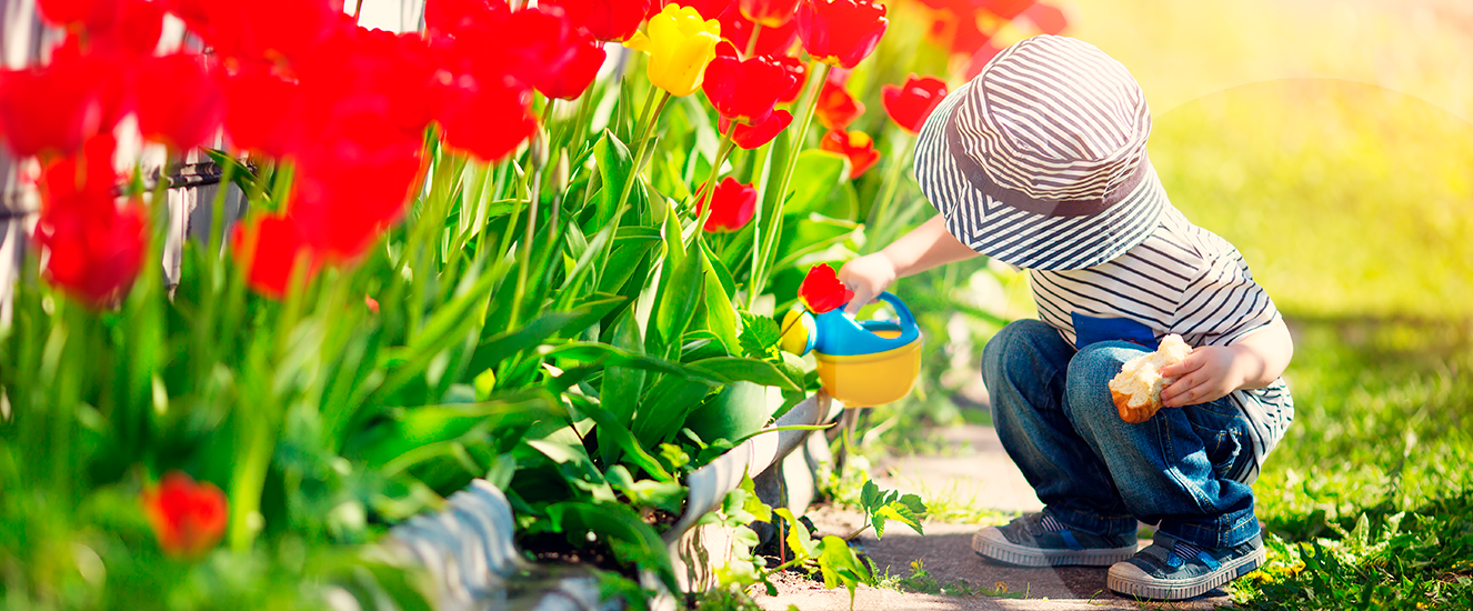 Illustration de l'astuce « Que planter au printemps ? » (visuel 1)