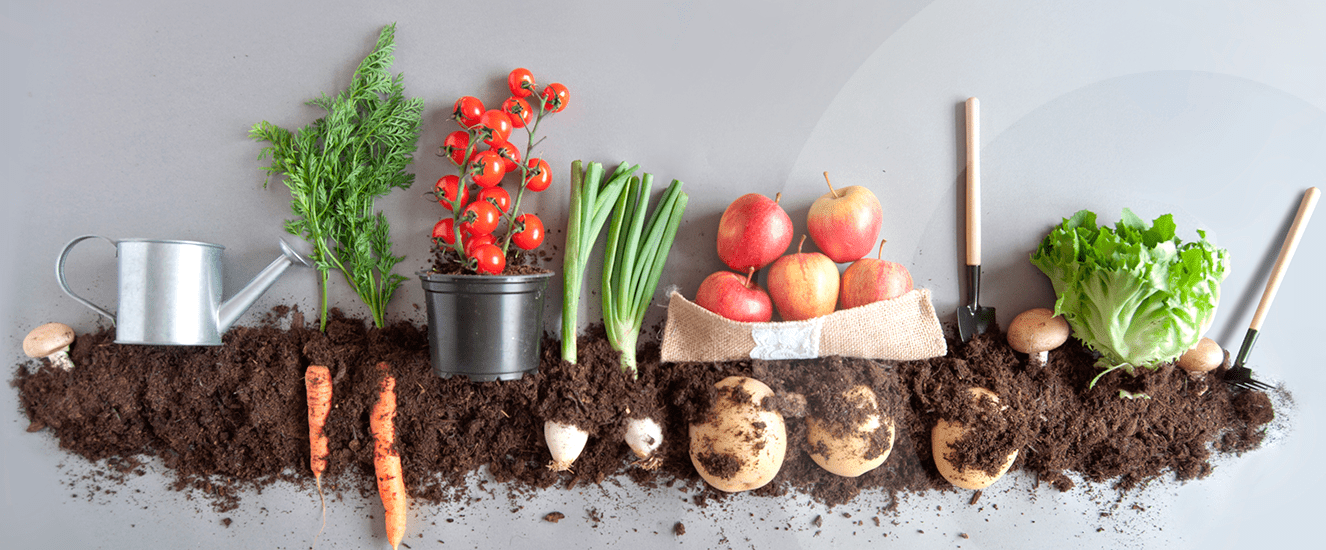 Illustration de l'astuce « Pourquoi consommer des légumes de saison ? » (visuel 1)