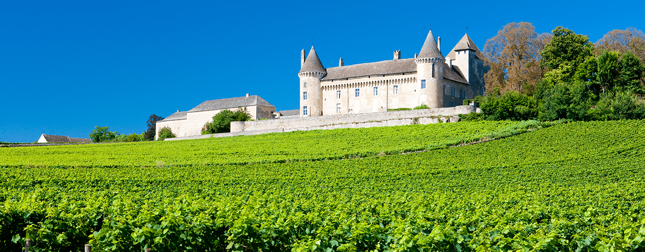Illustration de l'article « Des châteaux aux vignobles : Connaissez-vous le val de Loire ? »