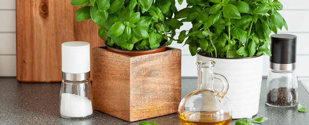 Illustration de l'astuce « Pourquoi ne pas faire pousser ses propres herbes aromatiques ? » (visuel 3)