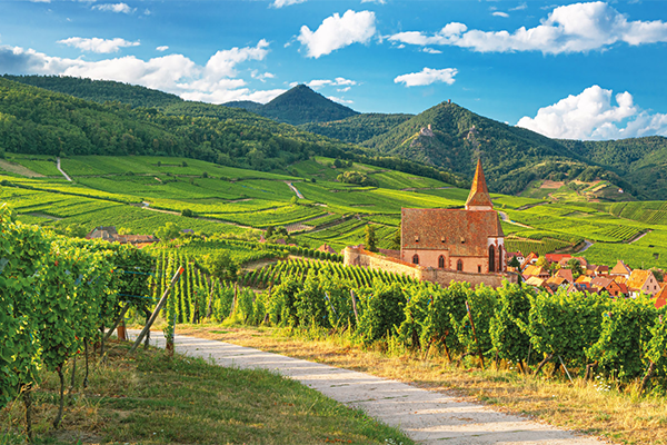 Vignoble Alsace