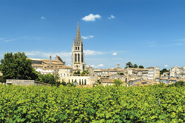 Vignoble Bordeaux