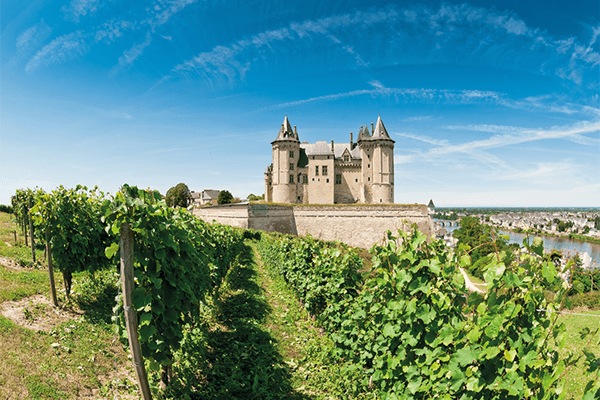 Vignoble Loire