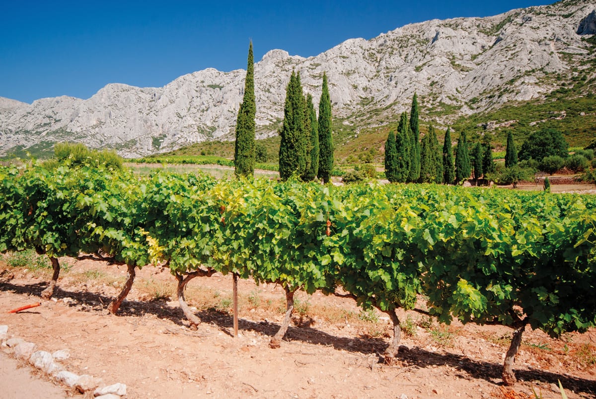 Vignoble Provence & Corse