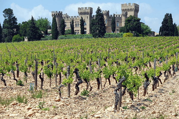 Vignoble Rhône