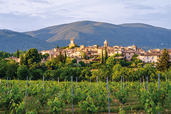 Paysage viticole de la région Rhône (visuel 3)