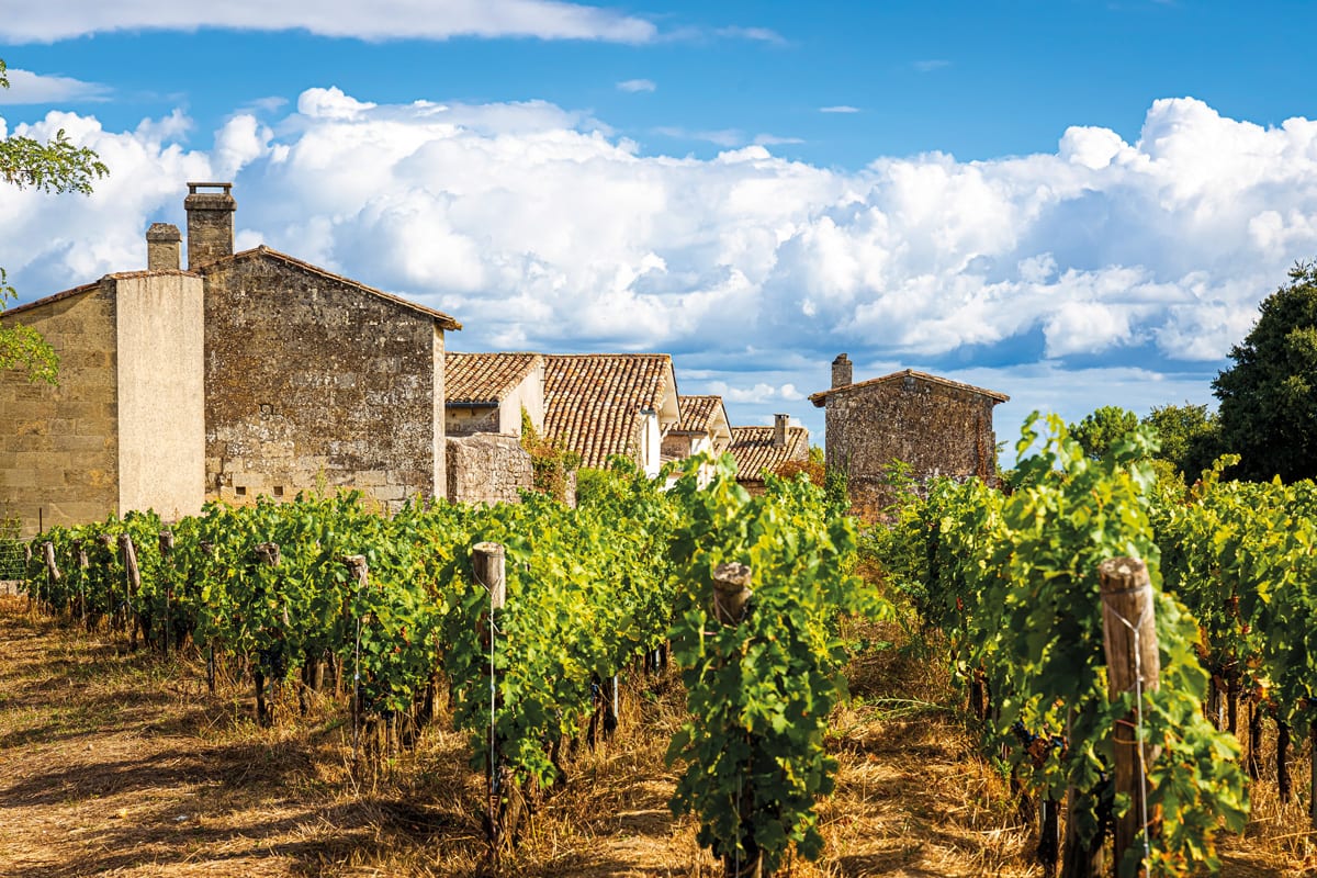 Vignoble Sud-ouest