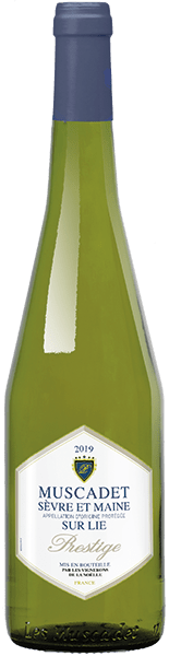 Bouteille de vin blanc AOP Muscadet Sèvre Et Maine Sur Lie « Prestige », millésime 2023/2024 — vignoble Loire