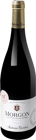 Bouteille de vin rouge AOP Vin Rouge Morgon « Antoine Barrier », millésime 2025/2026 — vignoble Beaujolais