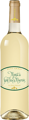 Bouteille de vin blanc AOC Vin Blanc Muscat De Saint-jean De Minervois « Petit Grain », millésime 2025/2026 — vignoble Languedoc