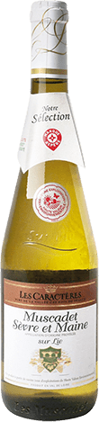 Bouteille de vin blanc AOP Vin Blanc Muscadet Sèvre Et Maine Sur Lie « Les Caractères », millésime 2025/2026 — vignoble Loire